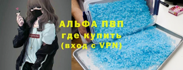 PSILOCYBIN Тайга
