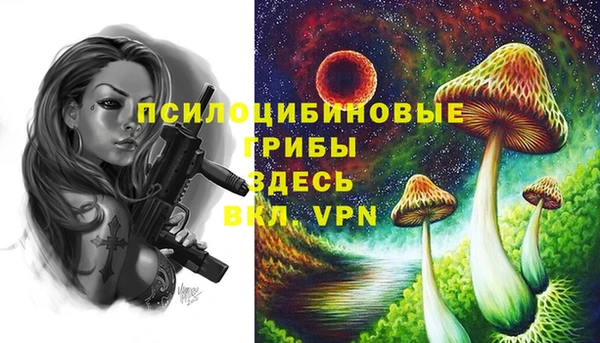 mdma Верхний Тагил