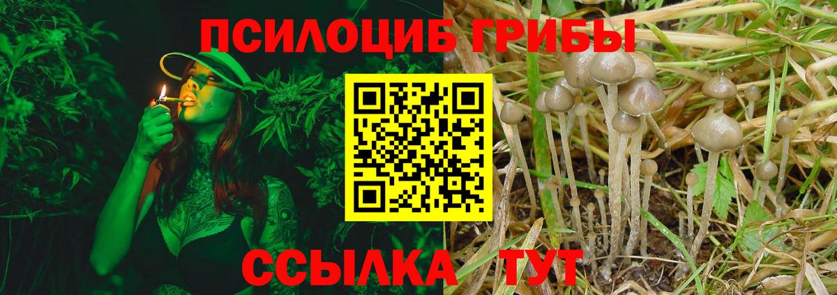 Галлюциногенные грибы мицелий Можга